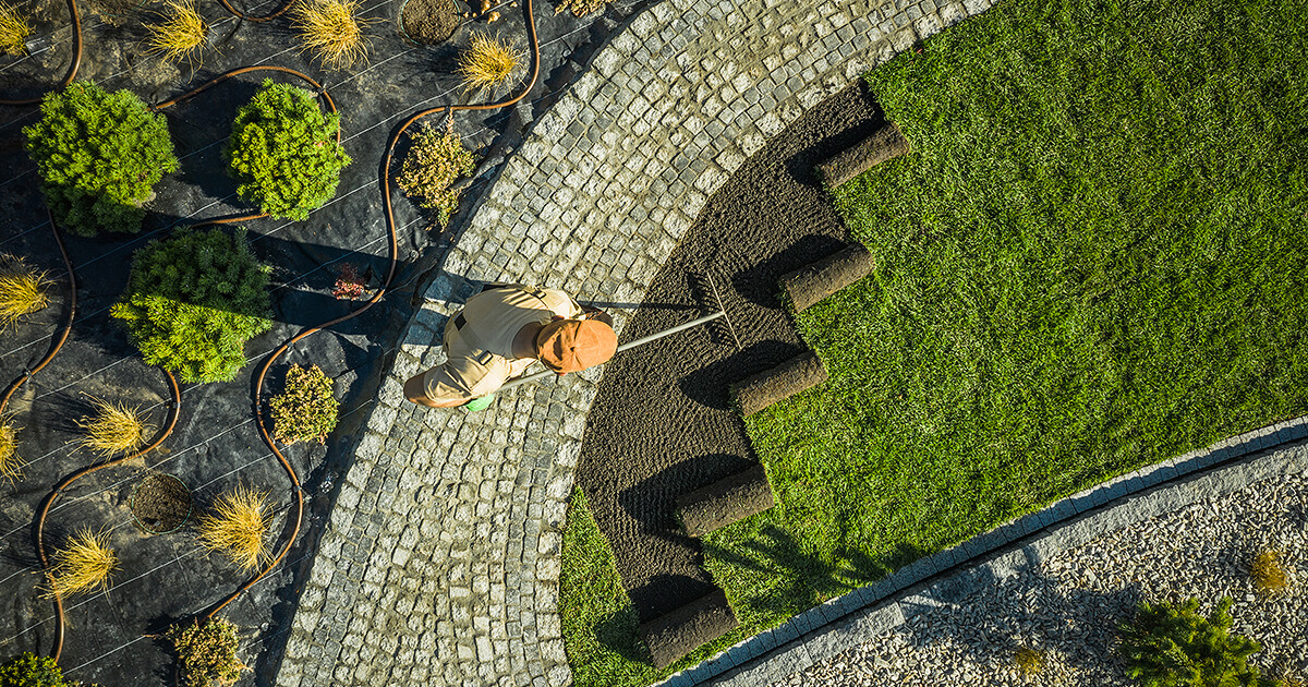 Landscaper installing sod and plants